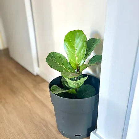 Casa Mar - Lindo Com Vista Mar Em No Porto Apartment