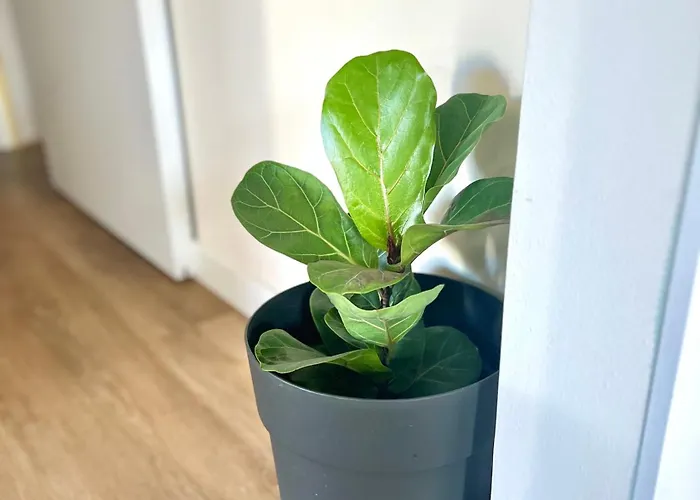 Casa Mar - Lindo Com Vista Mar Em No Porto Apartmán